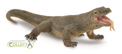Komodo Dragon (3 Years +)