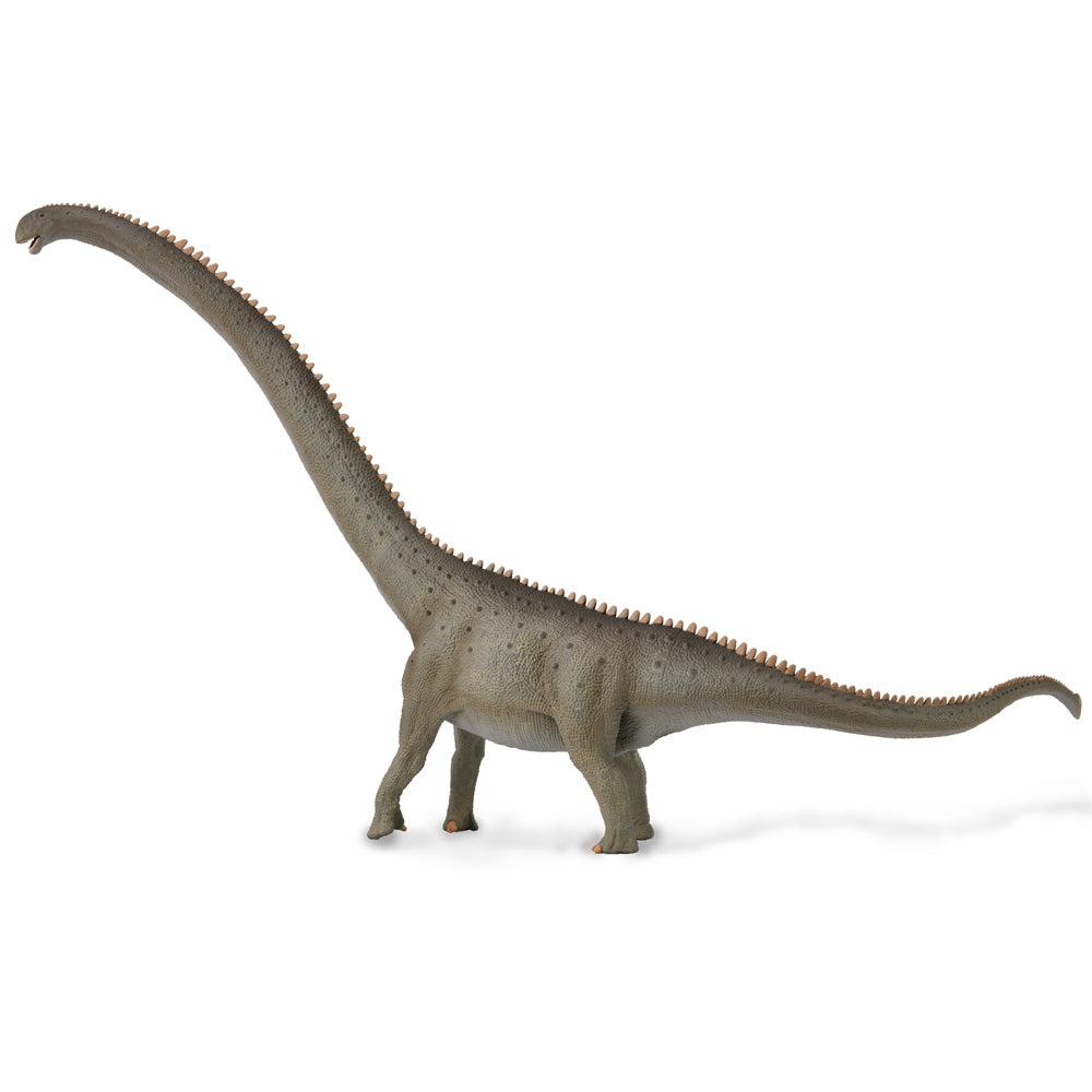 Mamenchisaurus - Deluxe 1:100 Scale (3 Years +)