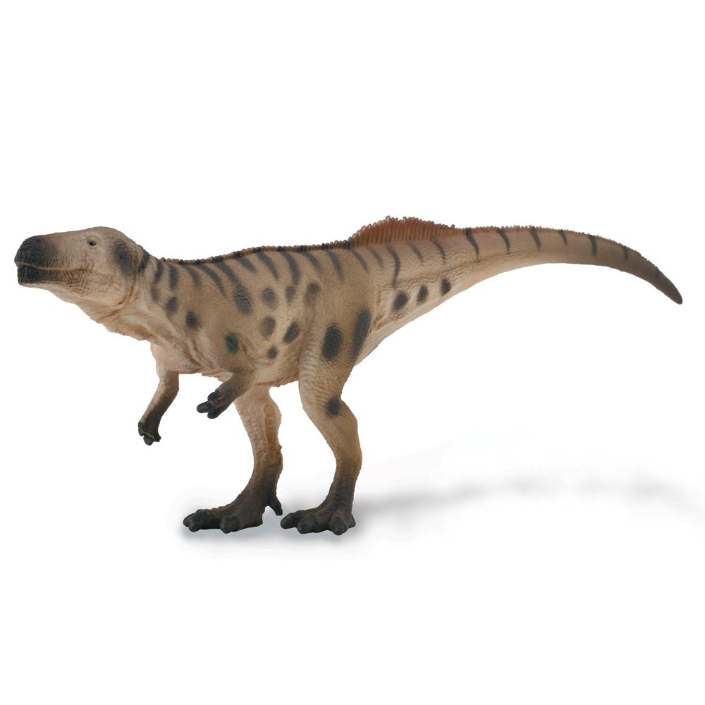 Megalosaurus - In Ambush (3 Years +)