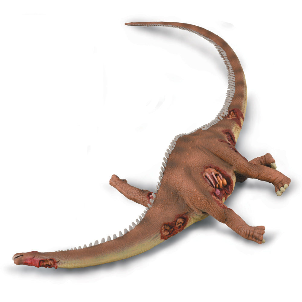 Brontosaurus Prey (3 Years +)