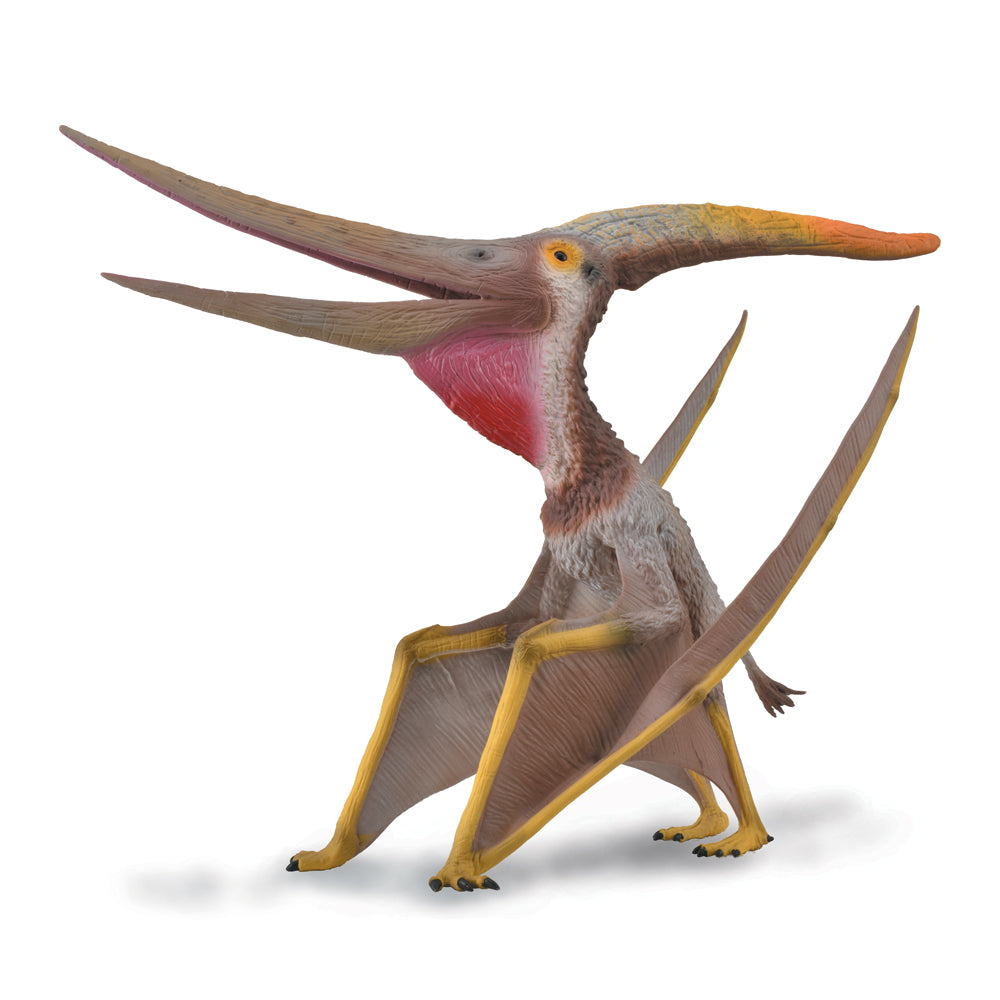 Pteranodon W/ Movable Jaw - Deluxe 1:15 (3 Years +)