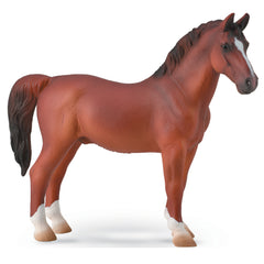 Hackney Stallion Chestnut (3 Years +)