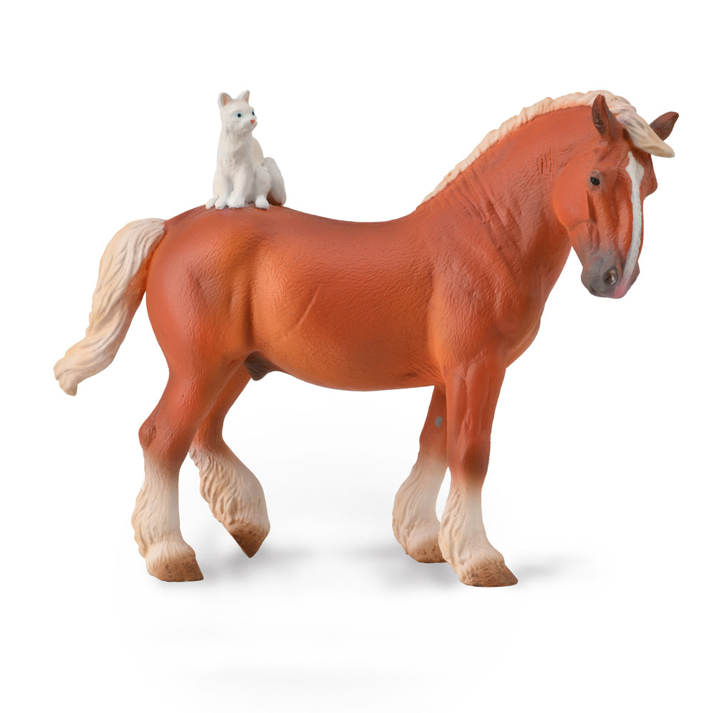Draft Horse with Cat (3 Years +)