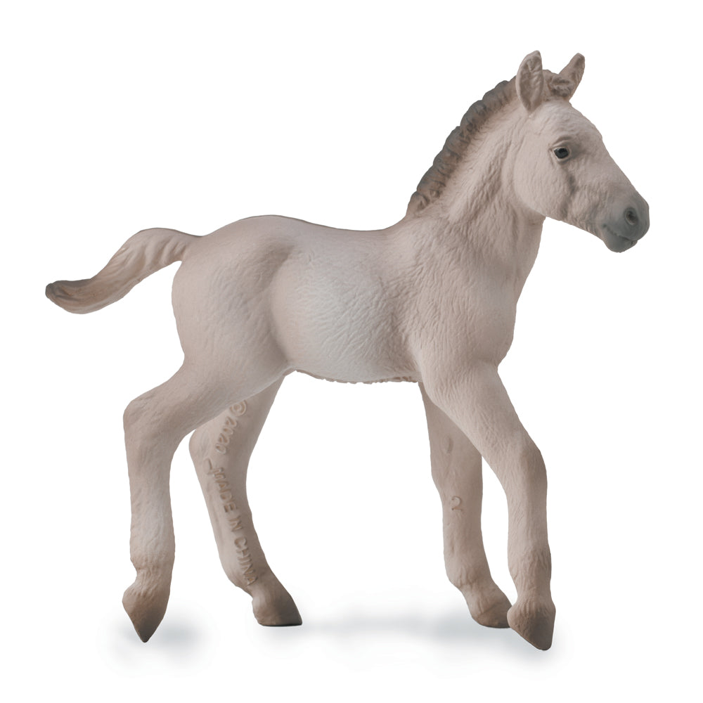 Konik Foal - Blue Dun (3 Years +)