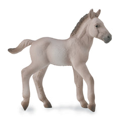 Konik Foal - Blue Dun (3 Years +)