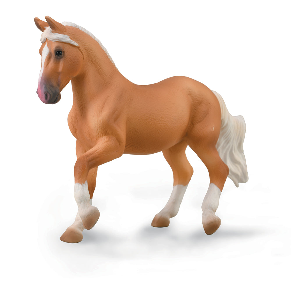 Paso Fino Mare - Palomino (3 Years +)