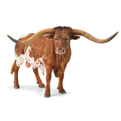Texas Longhorn Bull (3 Years +)