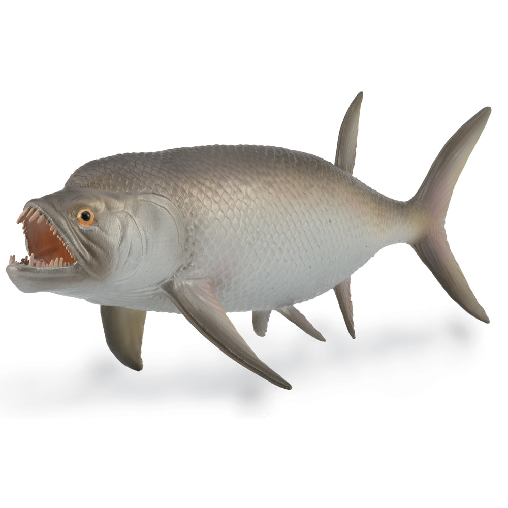 Xiphactinus - 1:40 Scale (3 Years +)