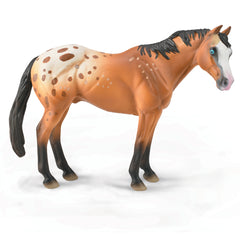 Appaloosa Stallion Light Brown (3 Years +)