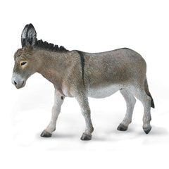 Donkey (3 Years +)