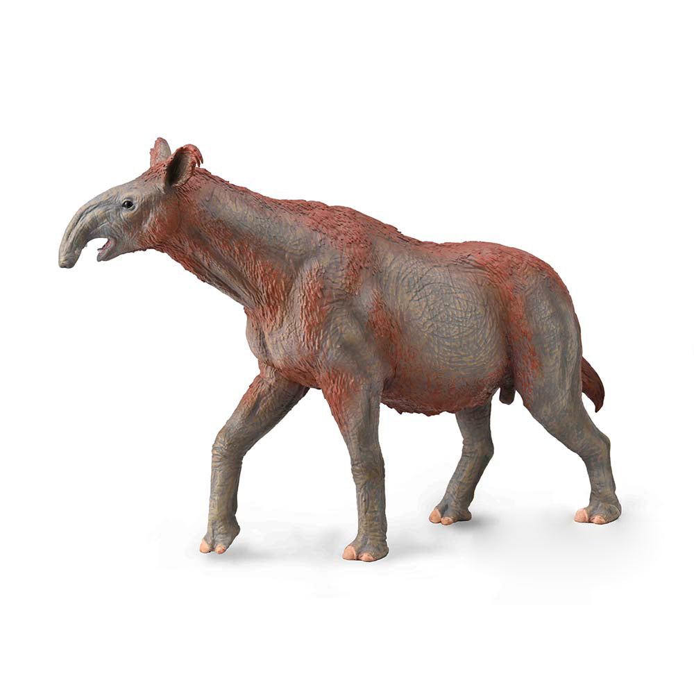 Paraceratherium� - Deluxe (3 Years +)