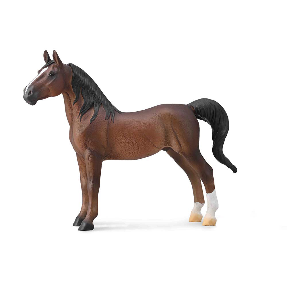 American Saddlebred Stallion Liver Chestnut (3 Years +)