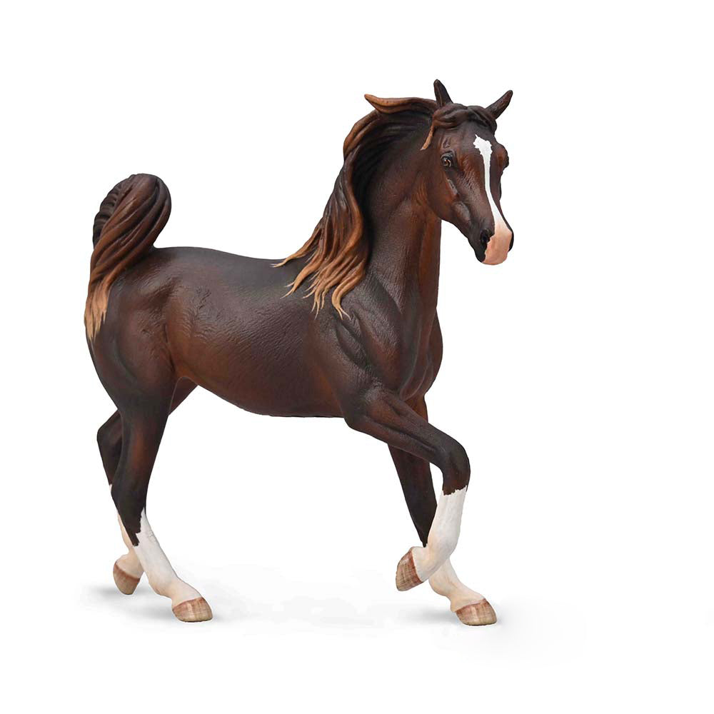 Arabian Mare Liver Chestnut (3 Years +)
