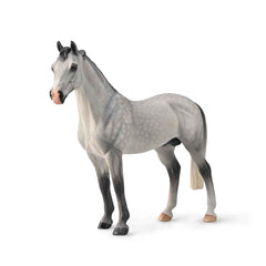 Hanoverian Stallion Dappled Grey (3 Years +)