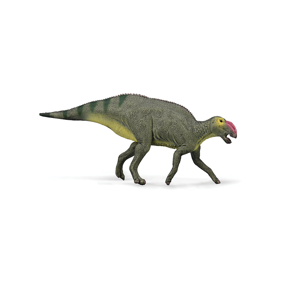 Hadrosaurus (3 Years +)