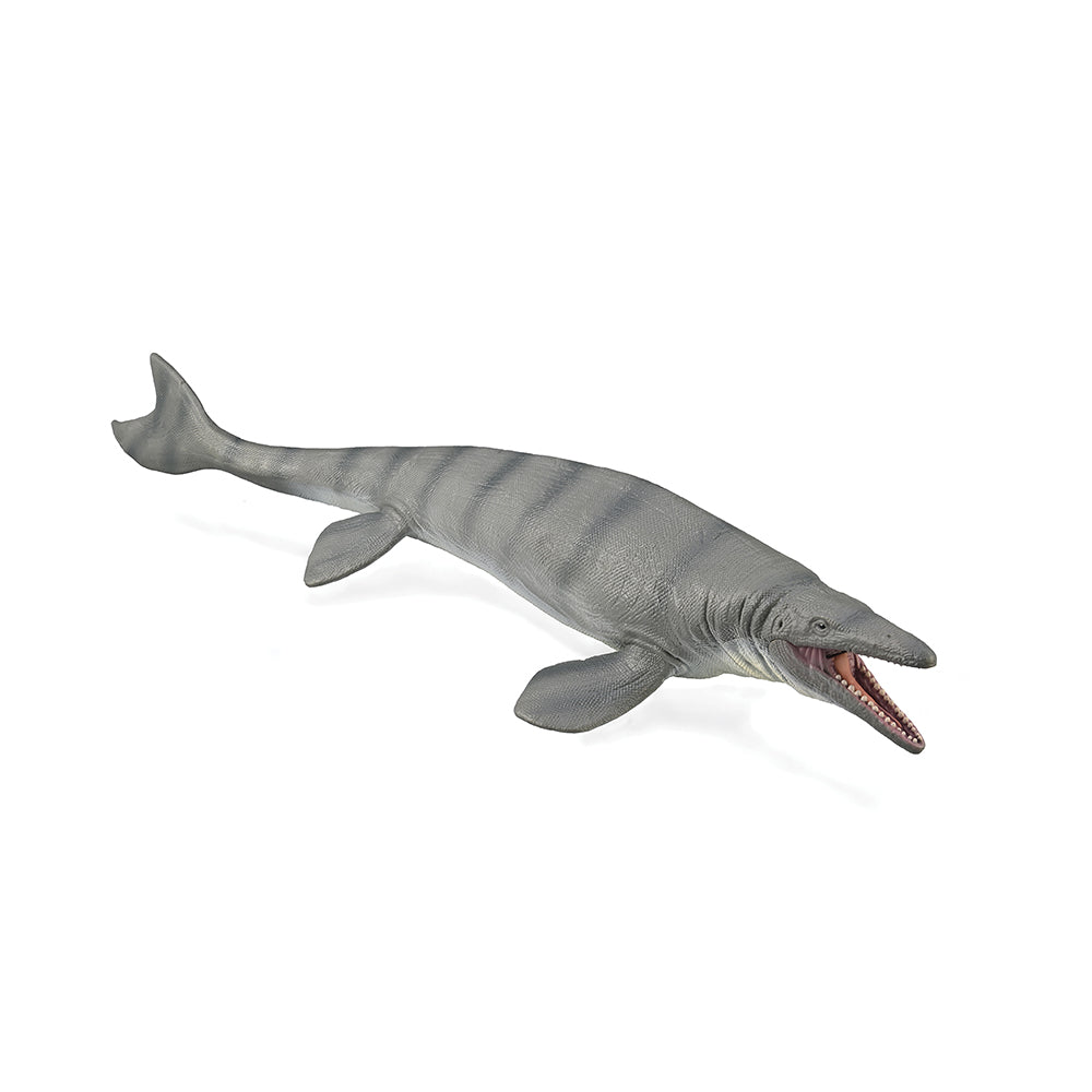 Mosasaurus with Movable Jaw - Deluxe 1:40 Scale (3 Years +)