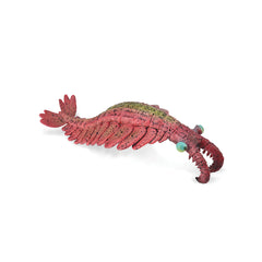 Anomalocaris (3 Years +)