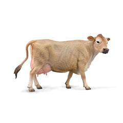 Jersey Cow (3 Years +)