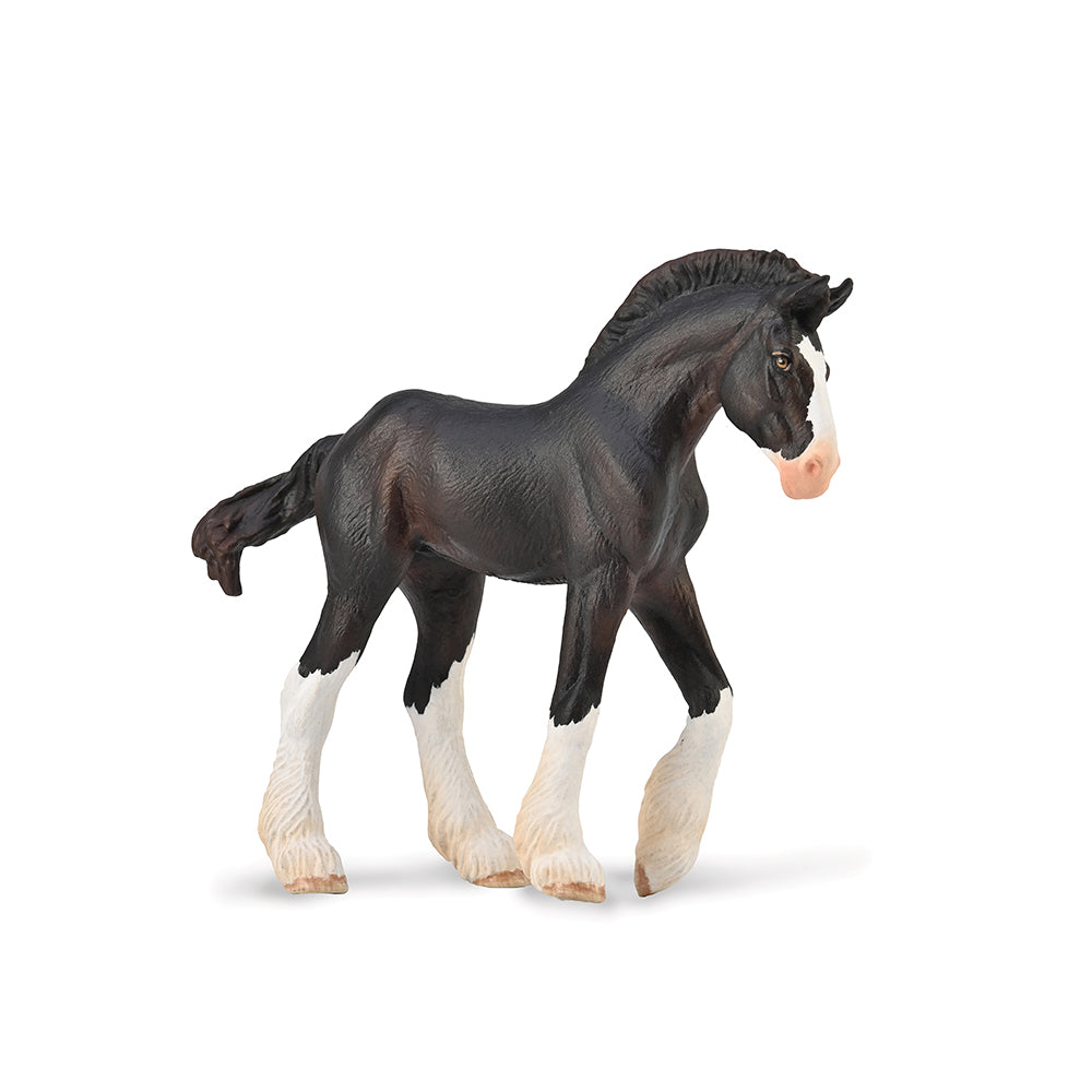 Clydesdale Foal - Black (3 Years +)