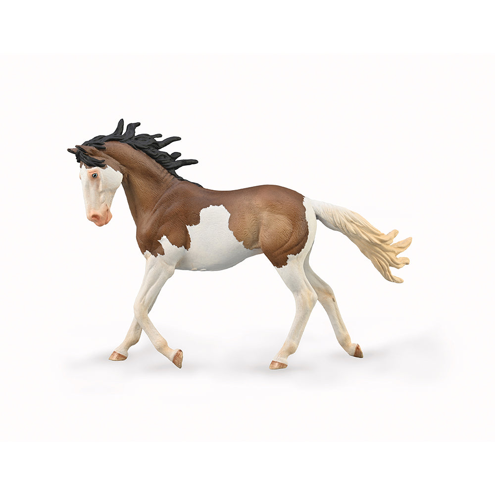Mustang Mare - Bay Splash Overo (3 Years +)