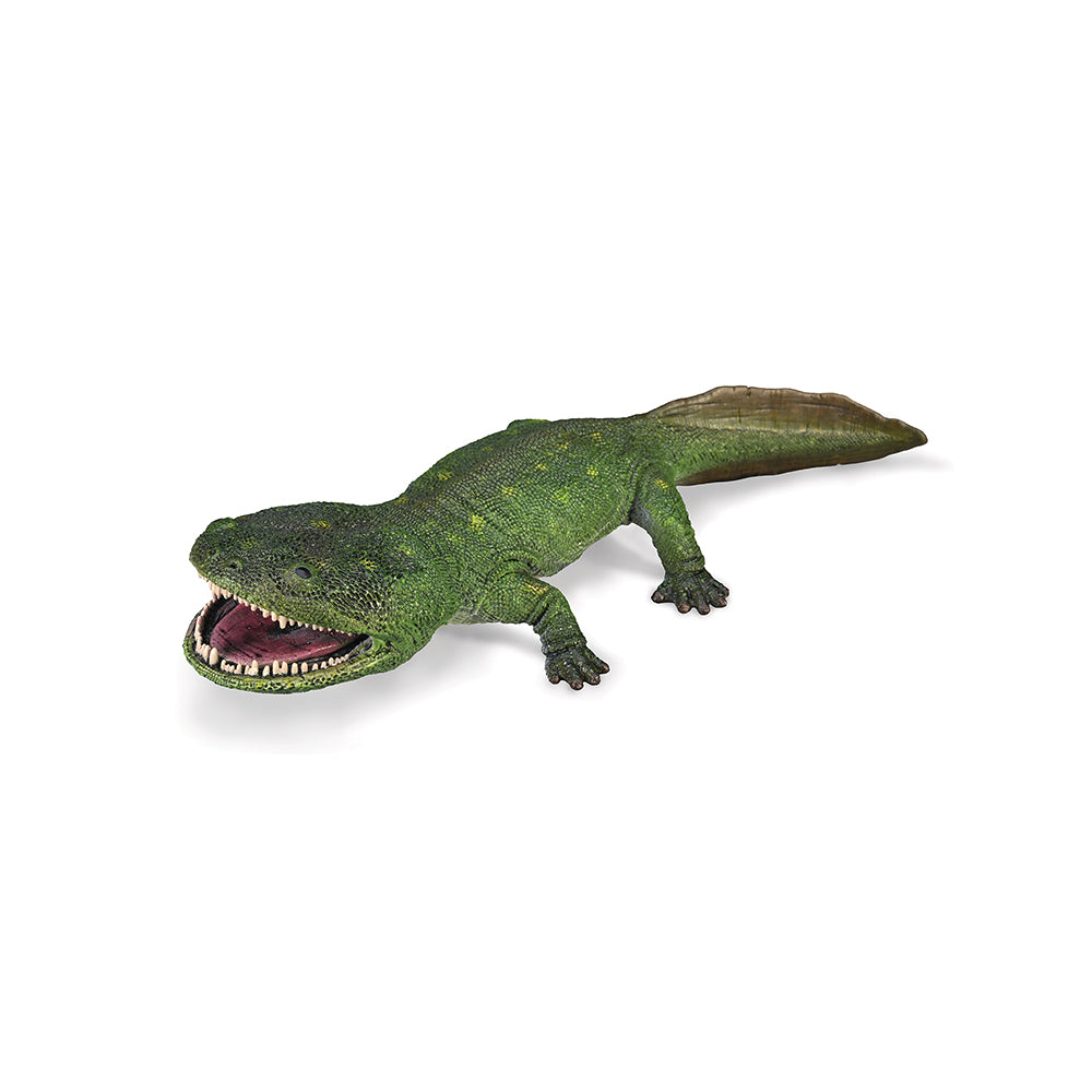 Koolasuchus cleelandi (3 Years +)