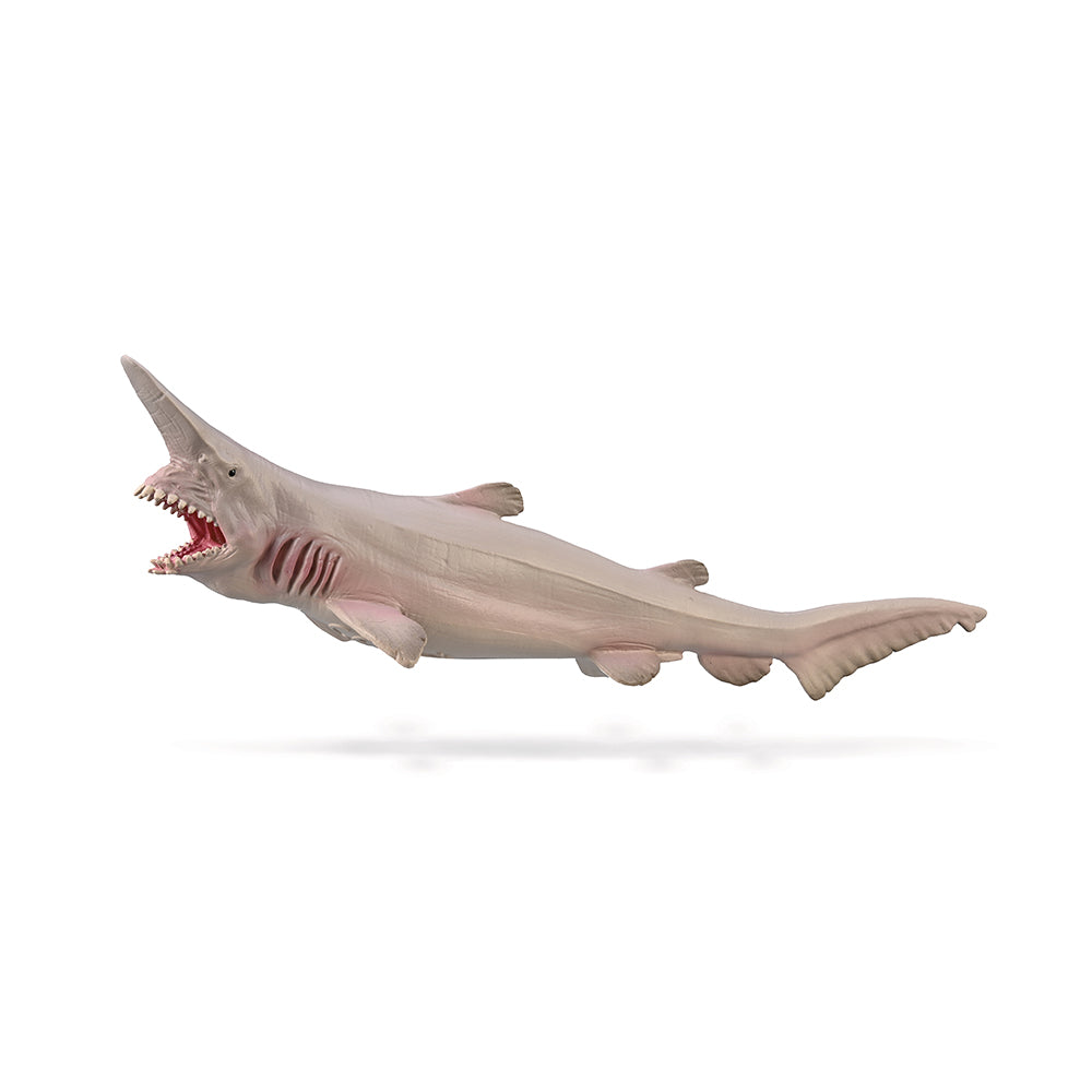 Goblin Shark (3 Years +)