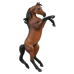 Arabian Stallioin Rearing - Bay (3 Years +)