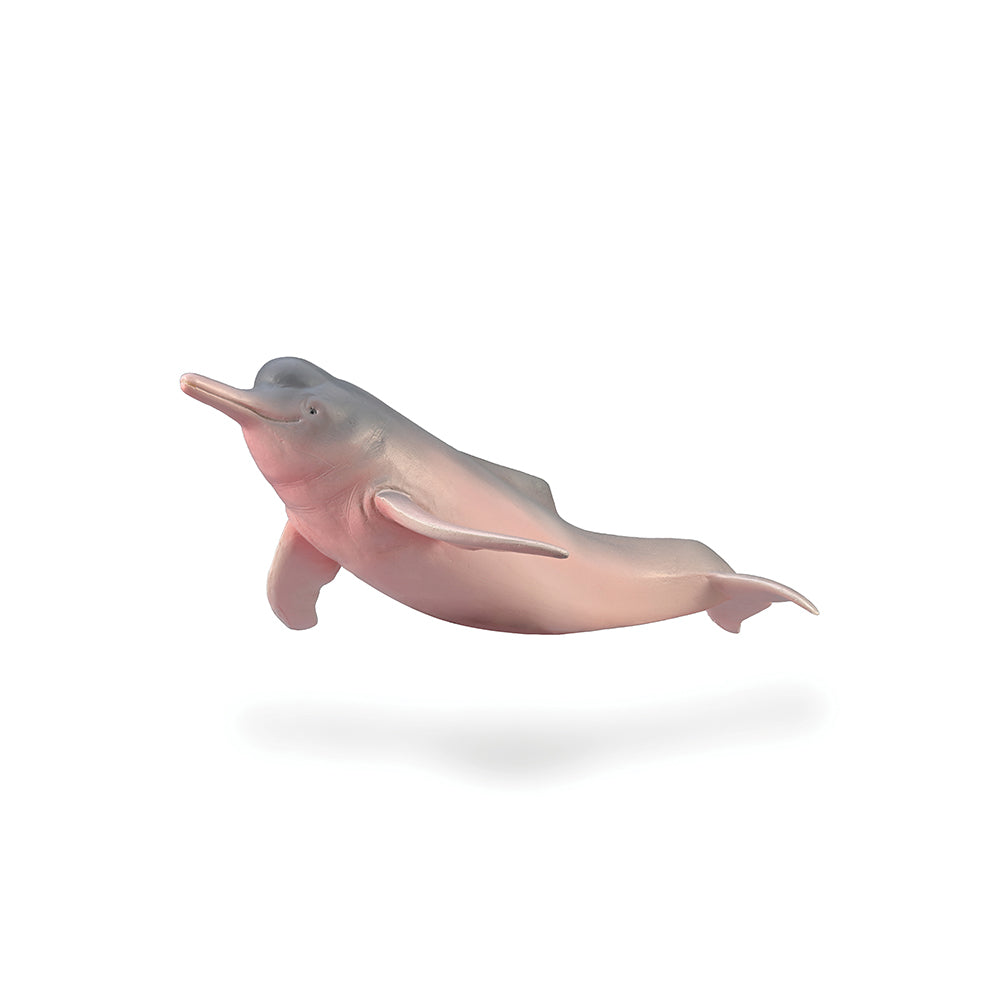 Amazon River Dolphin (3 Years +)