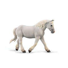 Boulonnais Mare - Grey (3 Years +)