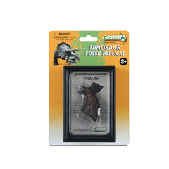 First Toe Of T-Rex In Display Case (3 Years +)