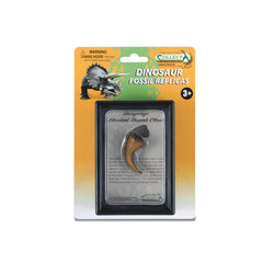 Hooked Thumb Claw Of Baryonyx In Display Case (3 Years +)