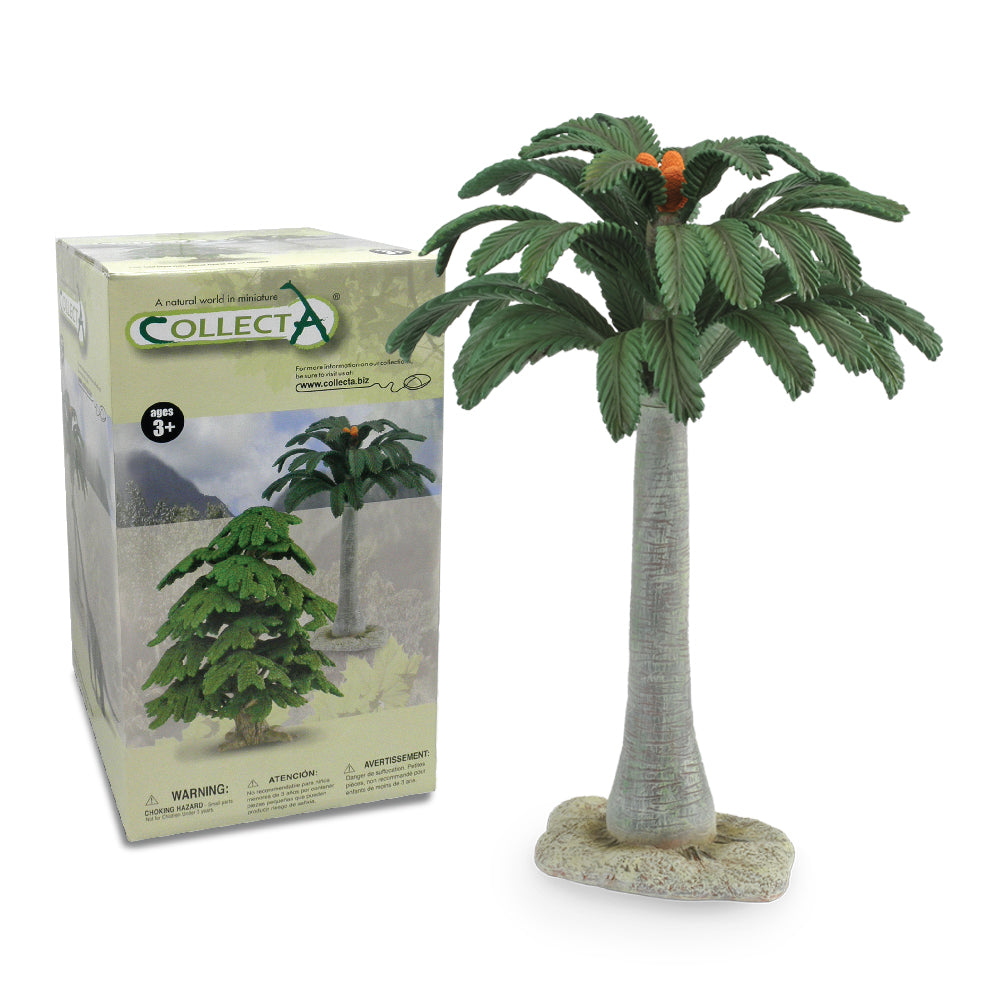Cycad Tree Deluxe - 30cm (3 Years +)