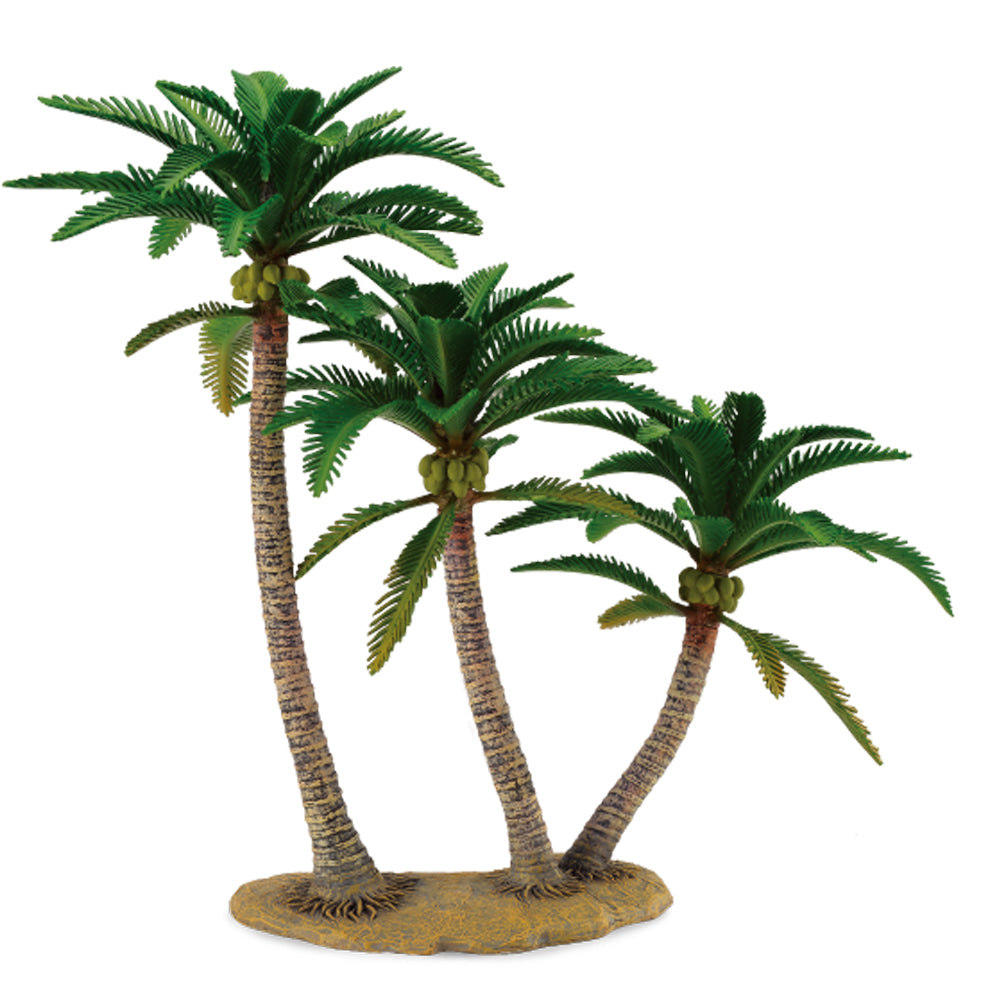 Coconut Palm (3 Years +)