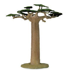 Baobab Tree (3 Years +)