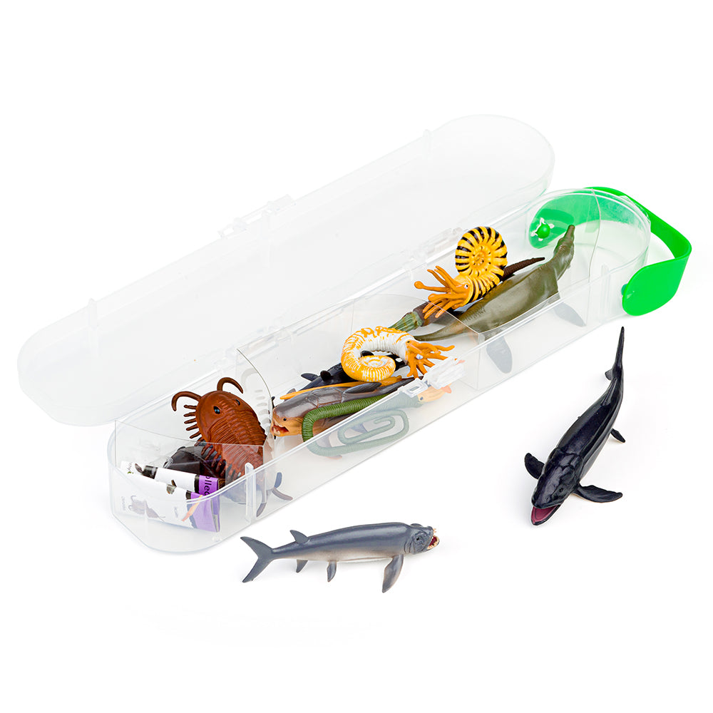 Mini Pre-Historic Marine Animals (3 Years +)