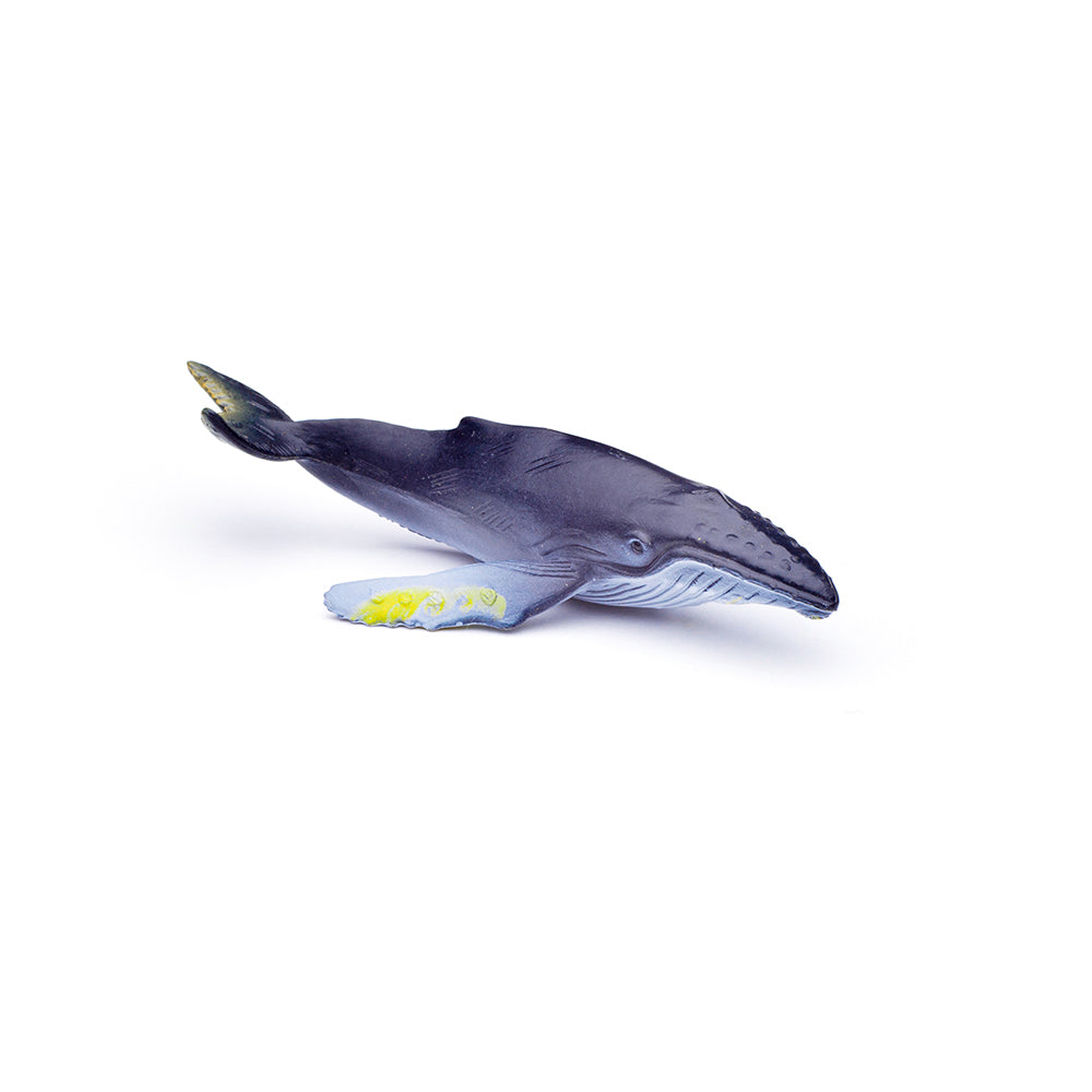 Mini Sea Animals (3 Years +)