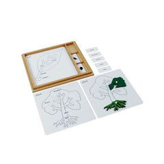 Botany Puzzle Activity Set- English