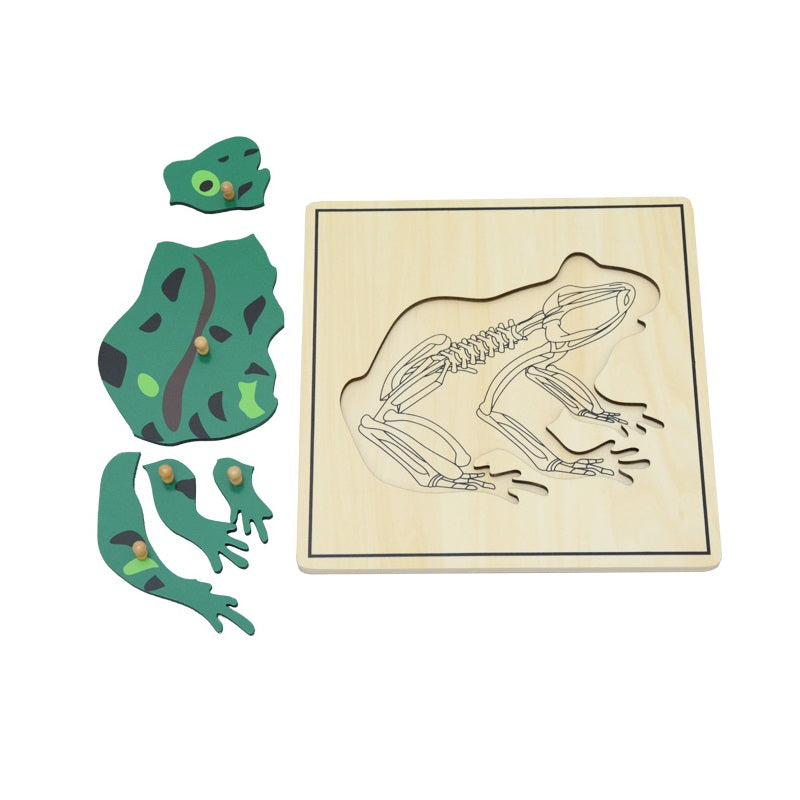 Frog & Skeleton Puzzle