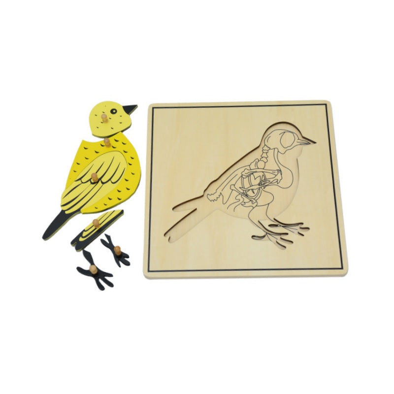 Bird & Skeleton Puzzle