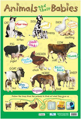 Poster: Baby Animals (Each)