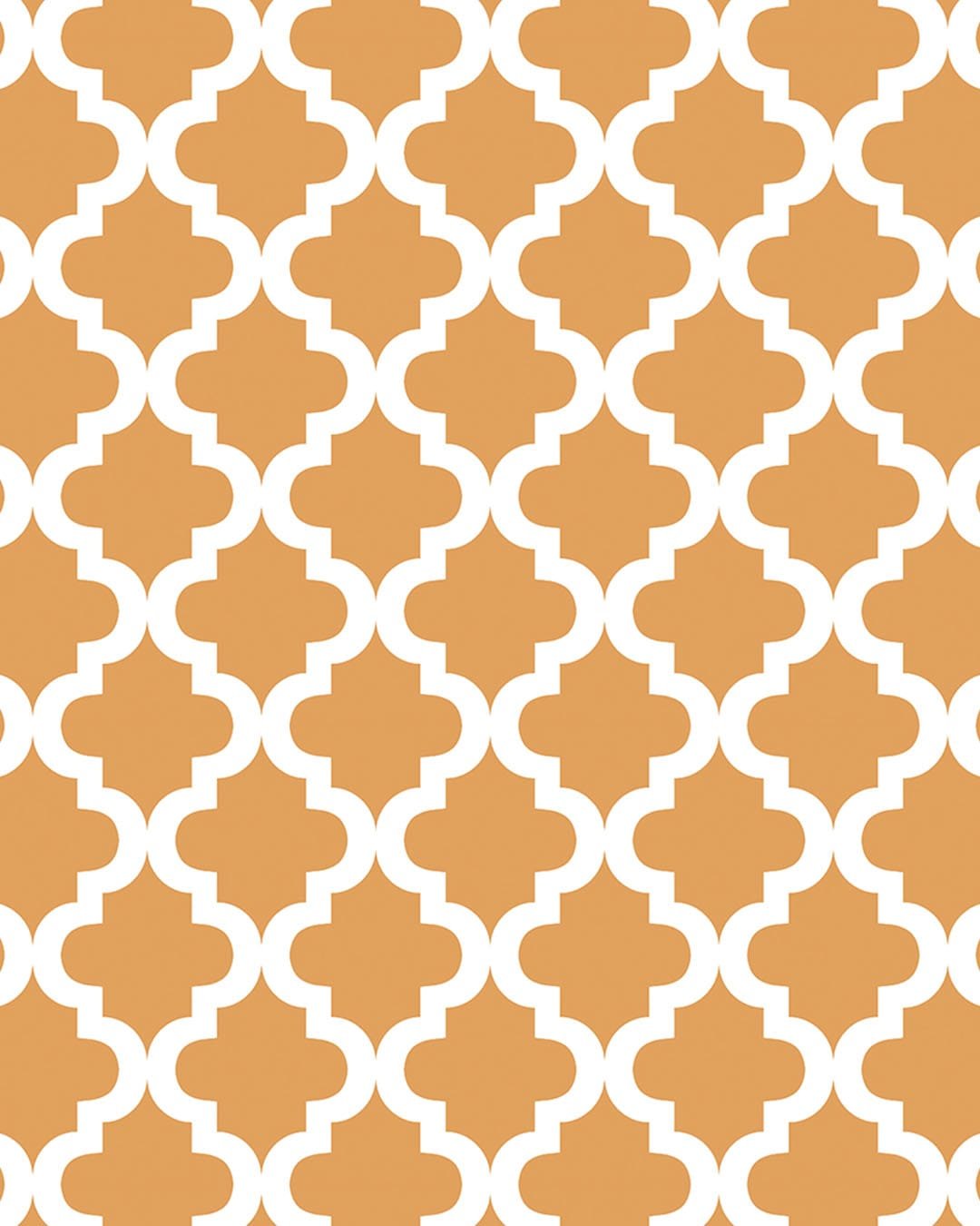 PAC PHOTO BACKDROP MEDIT PEACH 1218MMX0.3M 1PC -Min Qty 4