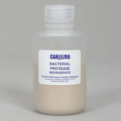 Protease bacterial - 100mL