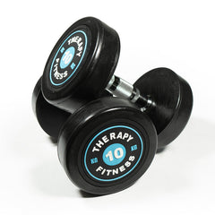 DS Cast Iron Round Dumbbells (Pair) - 10kg Black