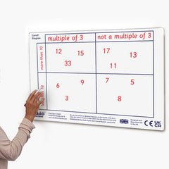 Dry Erase Teachers Carroll & Venn boards , each