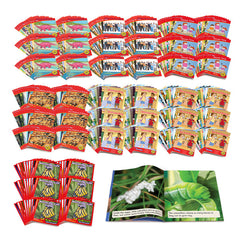 Phase 6 Essentials Plus Kit Classroom