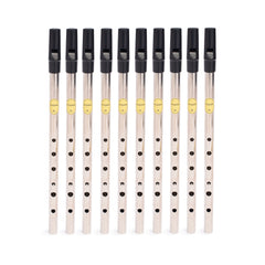 FeodÃ³g Irish whistle in D - Nickel, pack of 10