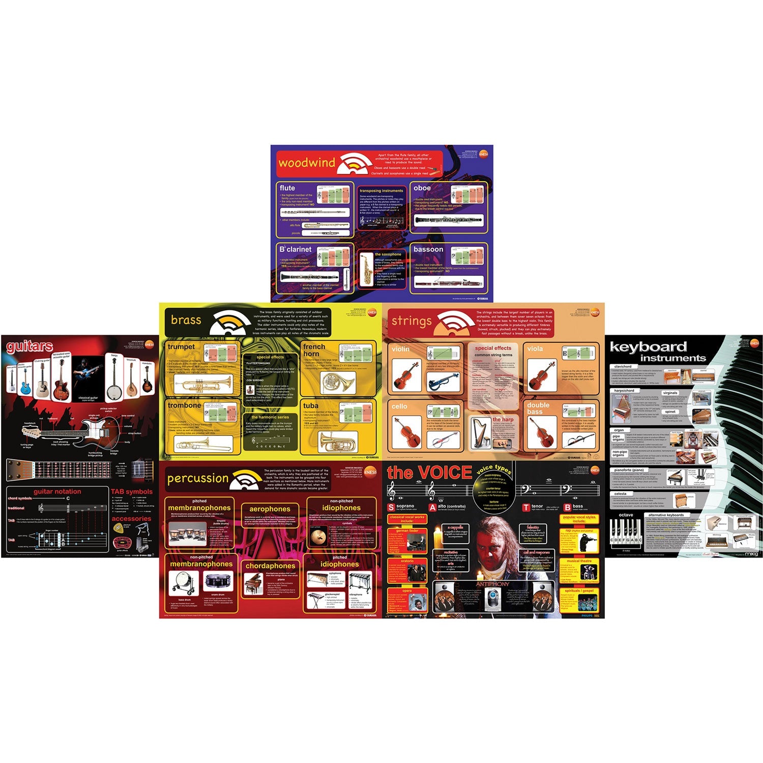Musical instruments - pack of 8 educational posters