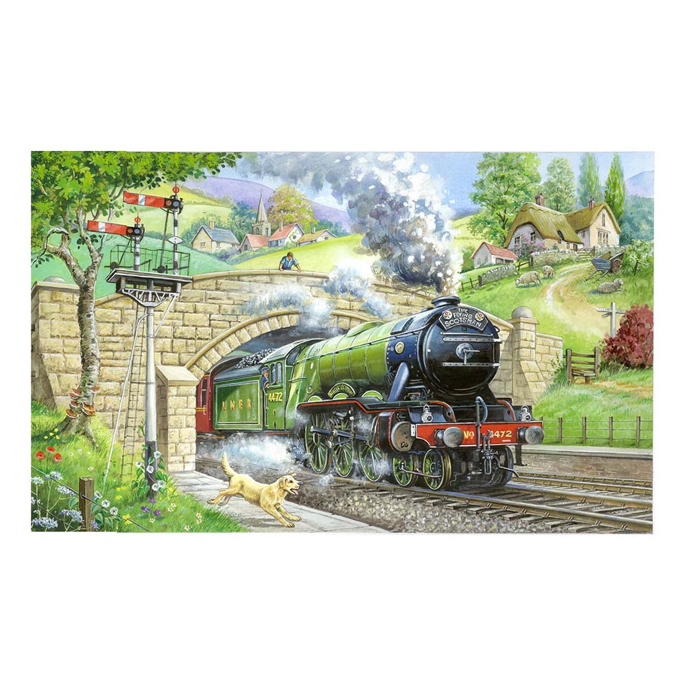 Train Spotting BIG 250 Puzzle (3 Years +)