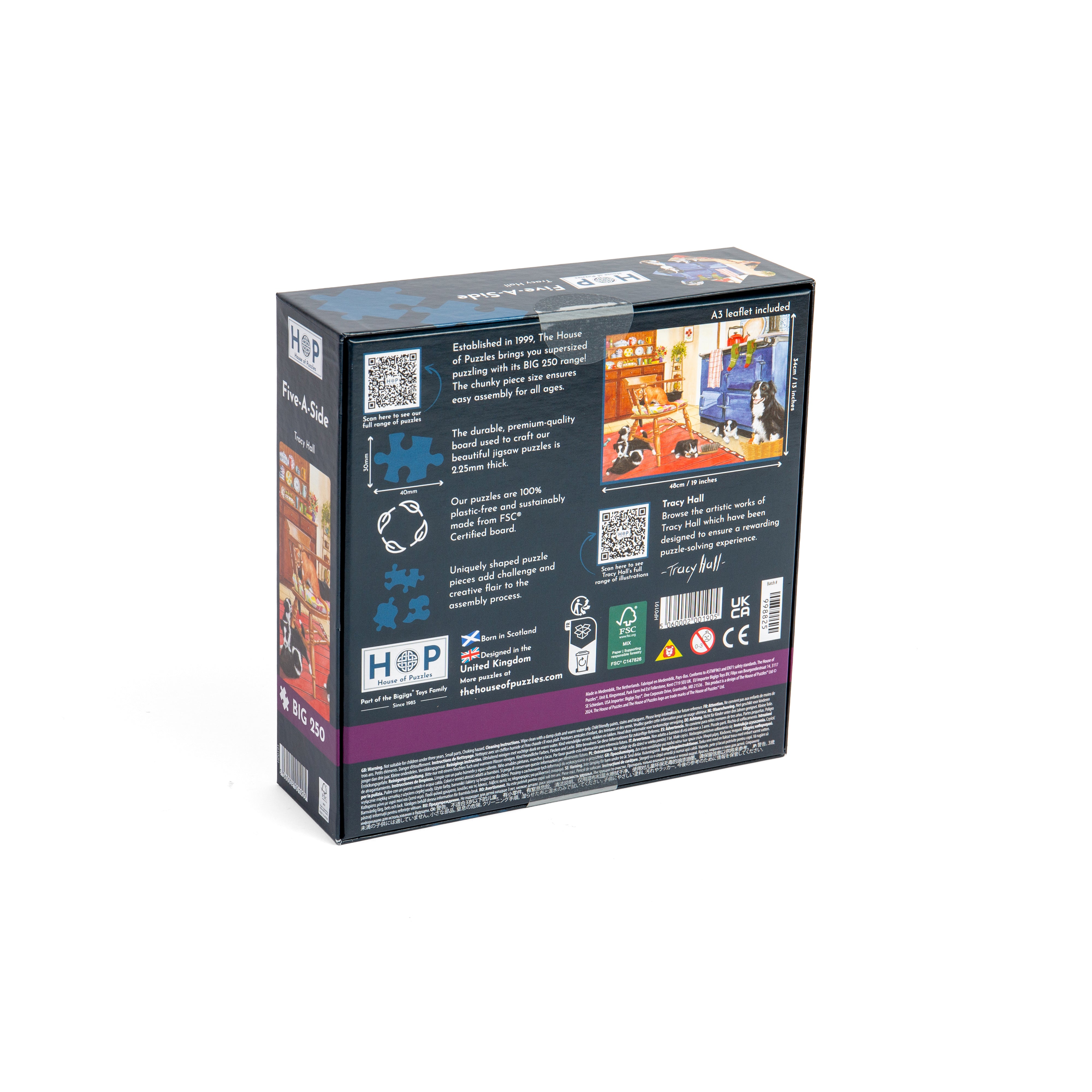 Five-A-Side BIG 250 Puzzle (3 Years +)
