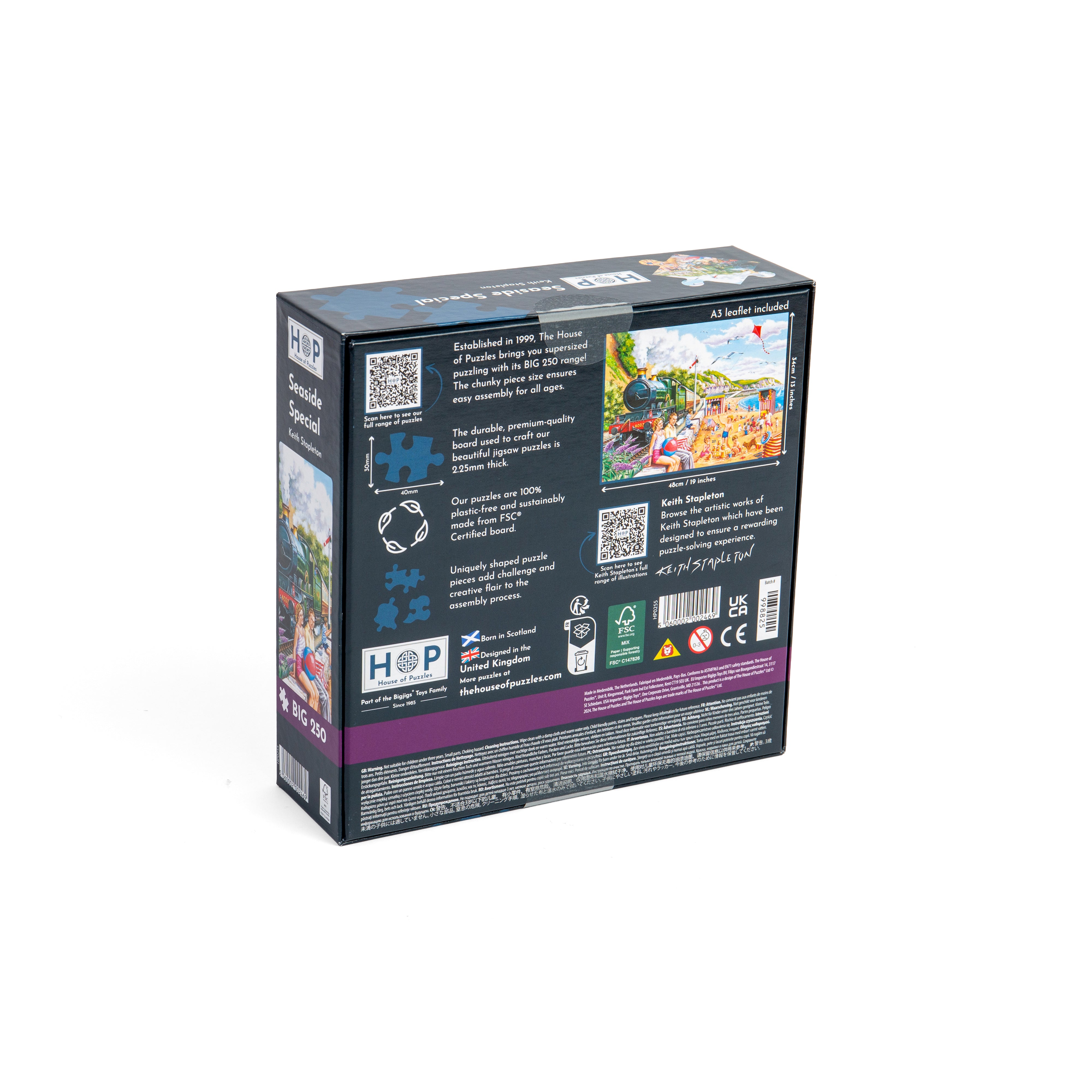 Seaside Special BIG 250 Puzzle (3 Years +)